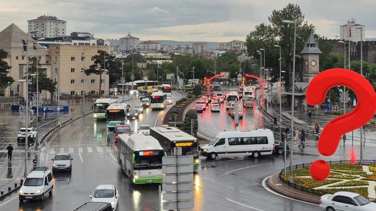Kayseri’de sayıları yarım milyona ulaştı! Her üç kişiden birinde var