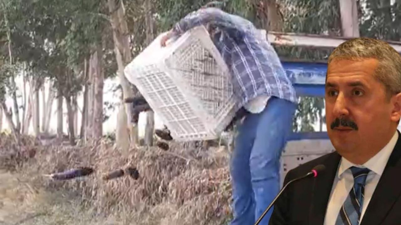 Kayserili Bakan Yardımcısı paylaştı! Sebzeleri yere döken şahsa rekor ceza