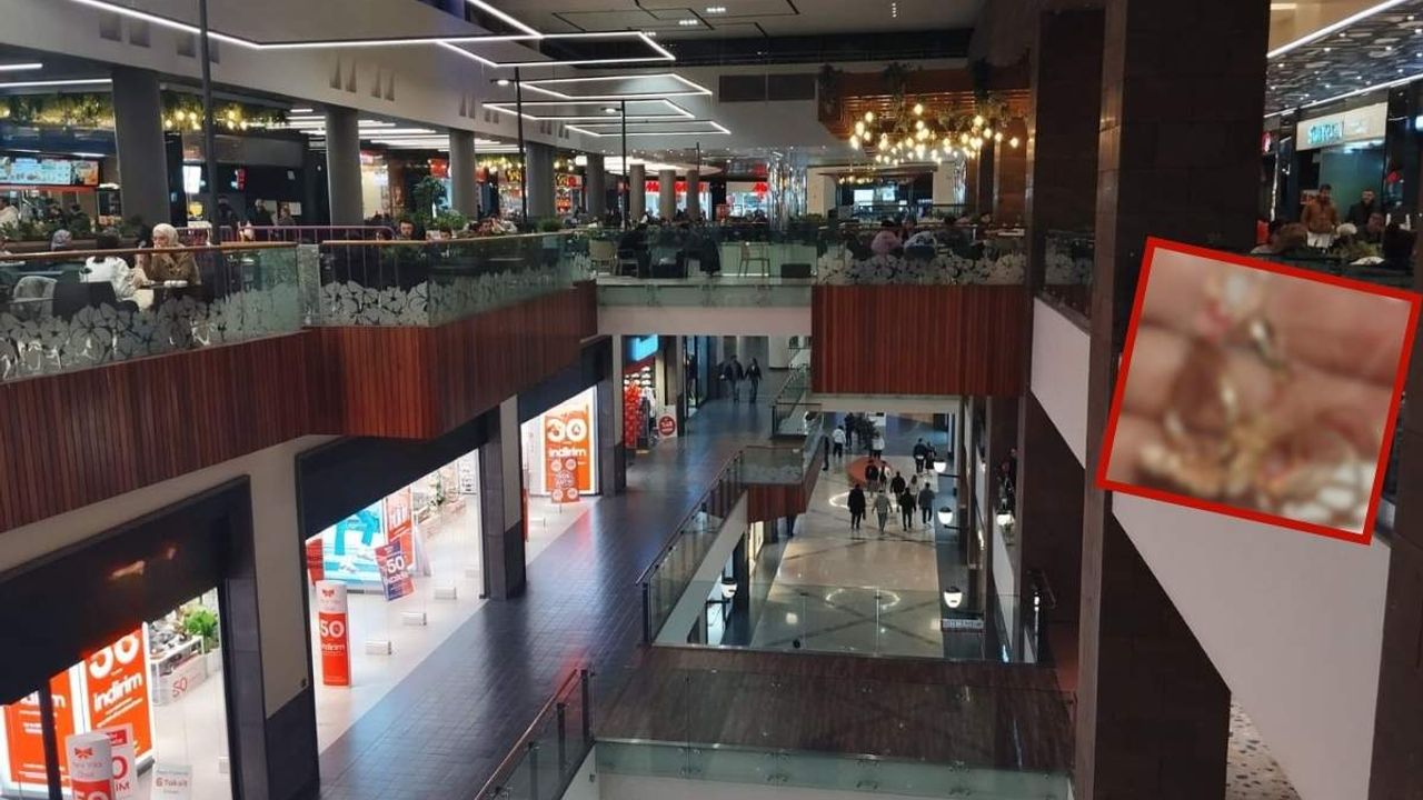 Kayseri’nin en ünlü AVM’sinde satılıyor! Bu ürün piyasada yasaklandı