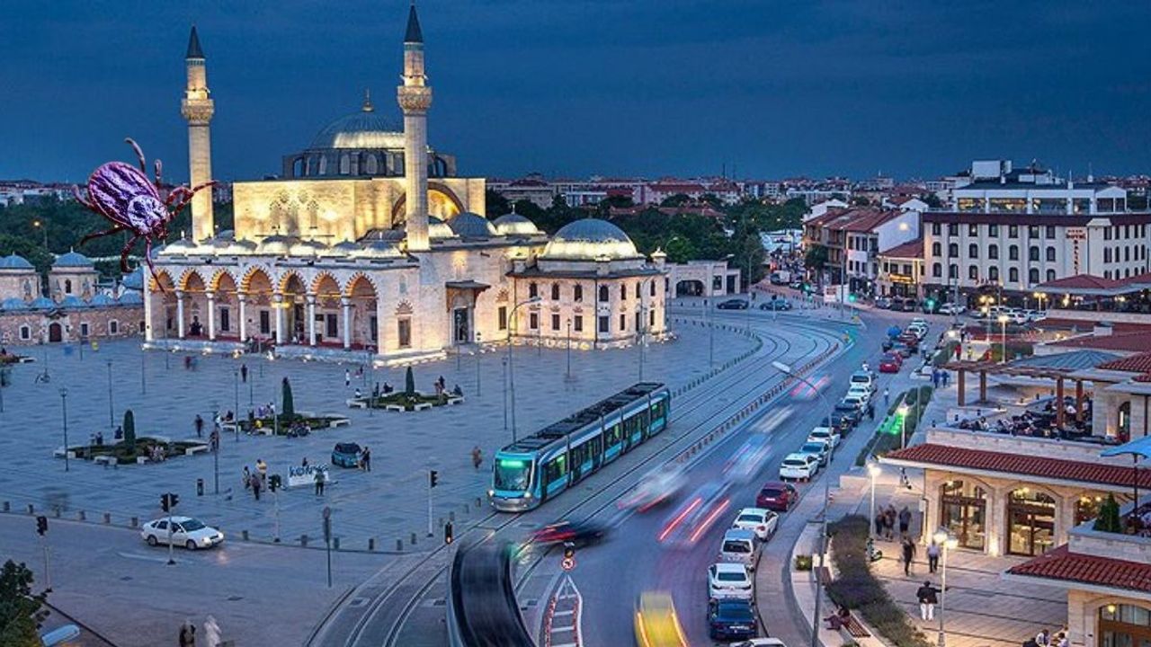 Evinde otururken fark etmedi: Kene ısırınca 250 kilometre yol gitti!