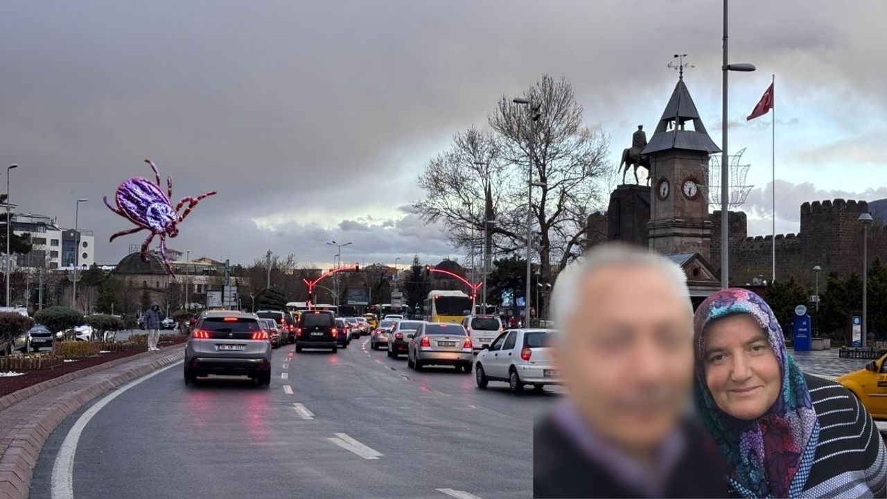 Yaz tatili için memleketine gelmişti: Kayserili gurbetçi kene kurbanı oldu!