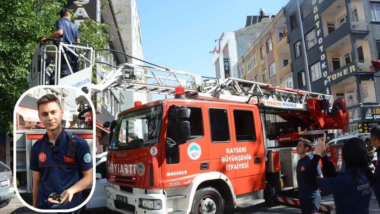 Kayseri'de kırlangıç itfaiye ekiplerinin müdahalesiyle kurtarıldı