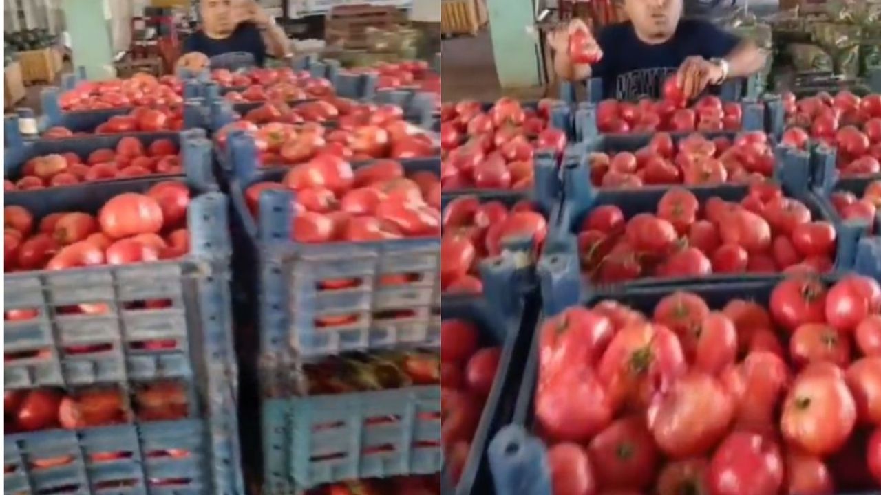 Komşu ilde domates ve karpuz 3 TL! Yine de kimse almıyor