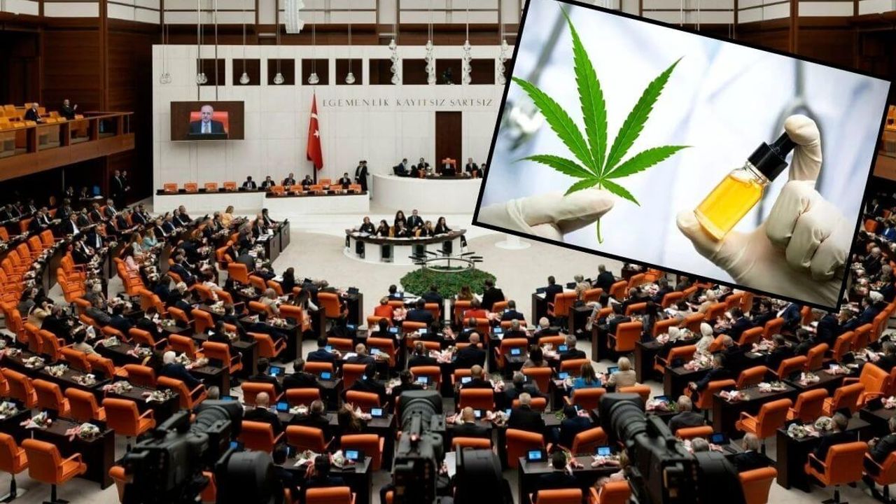 Tıbbi kenevir yasalaştı: Eczanelerde satışı başlıyor