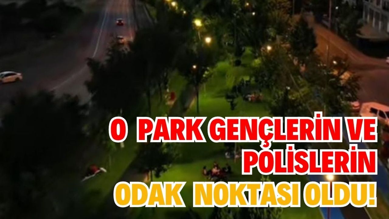 O park: Gençlerin ve polislerin odak noktası oldu!