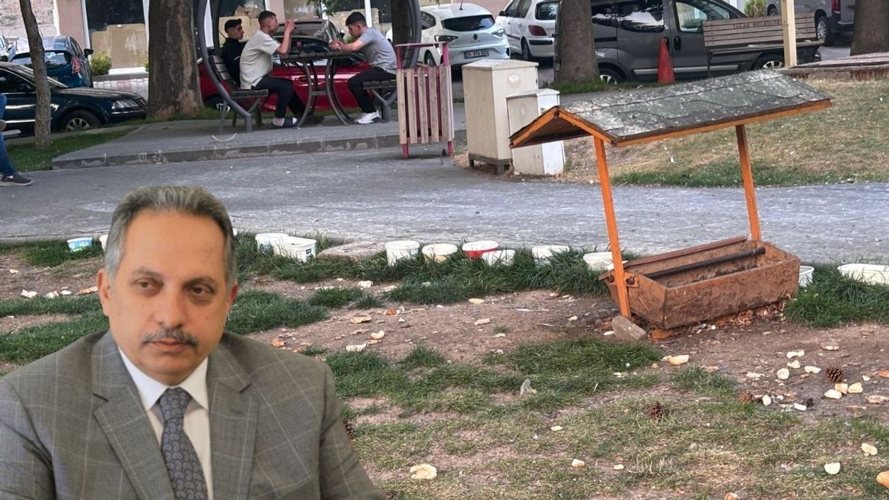 Bu görüntüler Talas'a hiç yakışmıyor: Park değil kuş yuvası oldu!