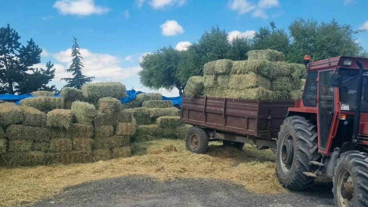 Başkan açıkladı: Üreticiye 25 tonluk destek!