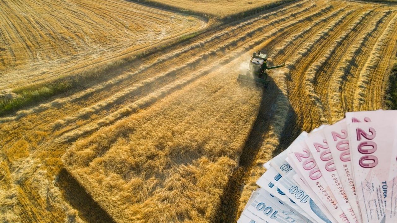 Tarımsal hasılada rekor! Kayseri'nin konumu dikkat çekti
