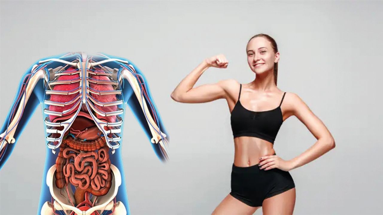 Vücudunuzun Olmasa da Yaşayabileceğiniz 6 Organ