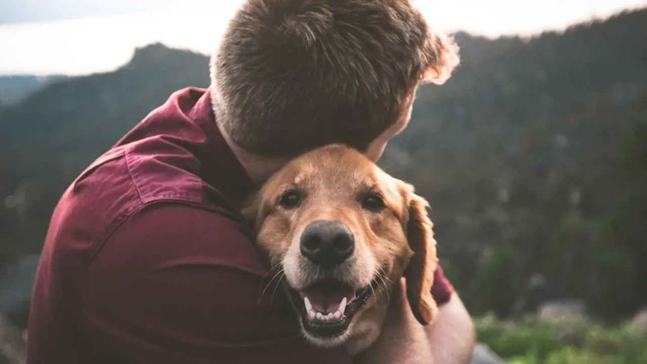 Köpekler zamanla sahiplerine benzer mi? İşte şaşırtan bilgi