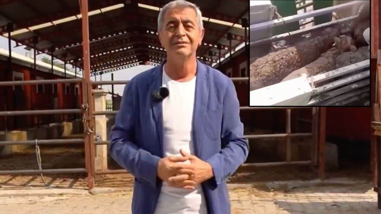 İYİ Partili Kazım Yücel ‘şeytanın aklına gelmez’ diyerek skandalı ifşa etti!
