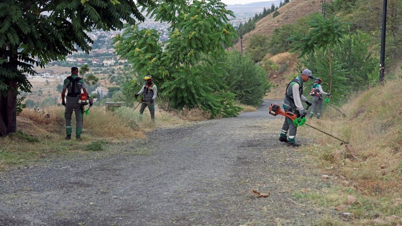 Talas Belediyesi’nden Ali Dağı’na yangın kalkanı