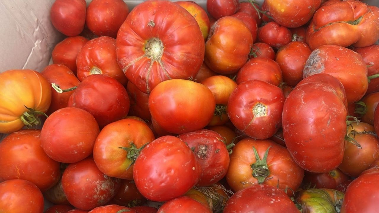 Kayseri’de fiyatlar uçtu! Pazar’da ayrı, market’te ayrı
