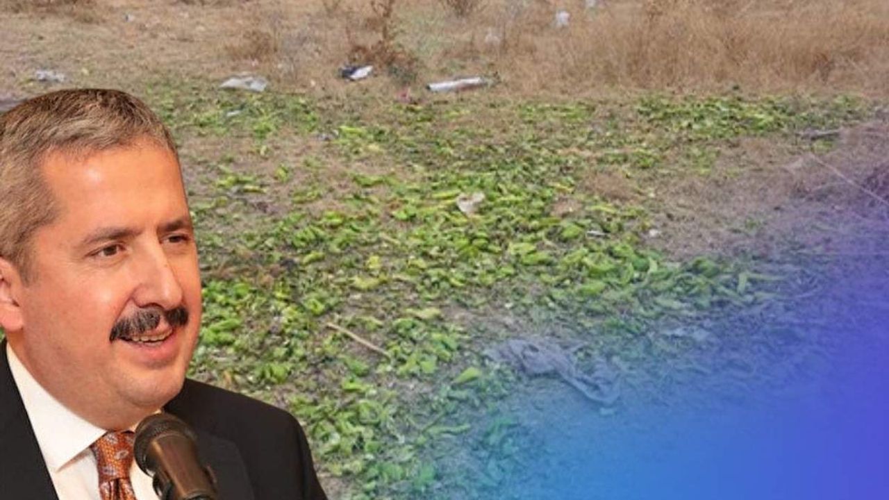 Kayserili Bakan Yardımcısı paylaştı! Kilolarca biberi yere döken üretici cezadan kaçamadı