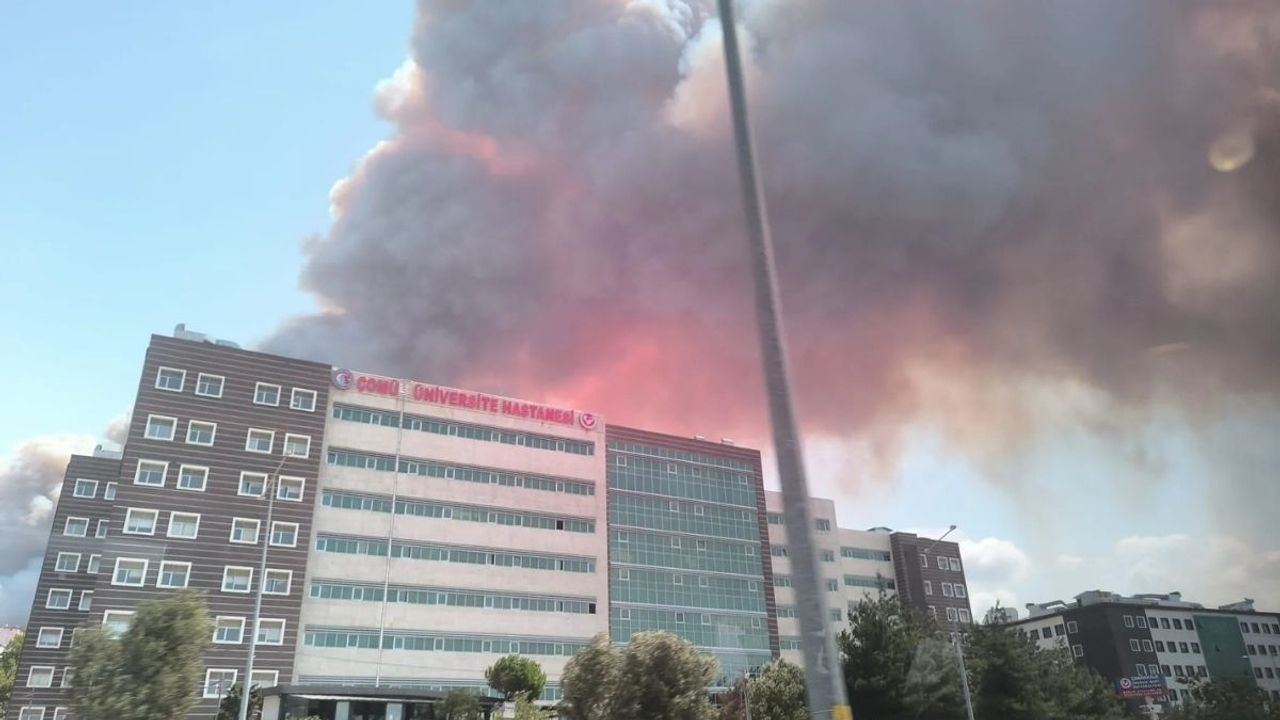 Çanakkale’de tarım arazisinde başlayan yangın ormana sıçradı!