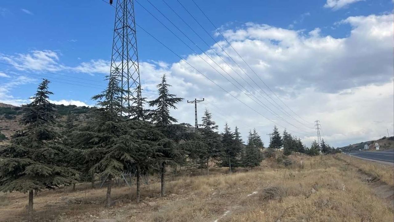 Kayseri'de mezarlık sorunu tarihe karışıyor! Üç mahalleye kalıcı çözüm