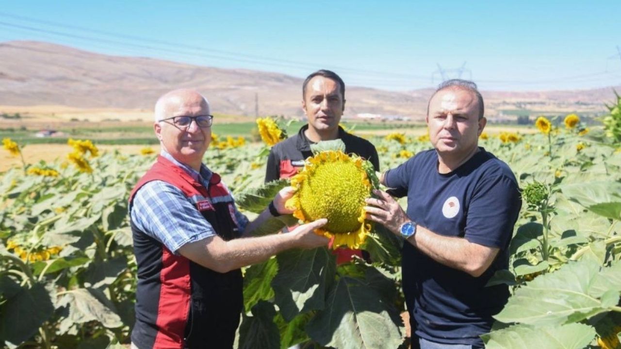 Kayseri’de çiftçiye umut olan yeni yöntem