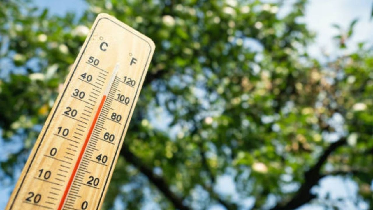 Kayseri’de 22 Ağustos Cuma günü hava nasıl olacak?
