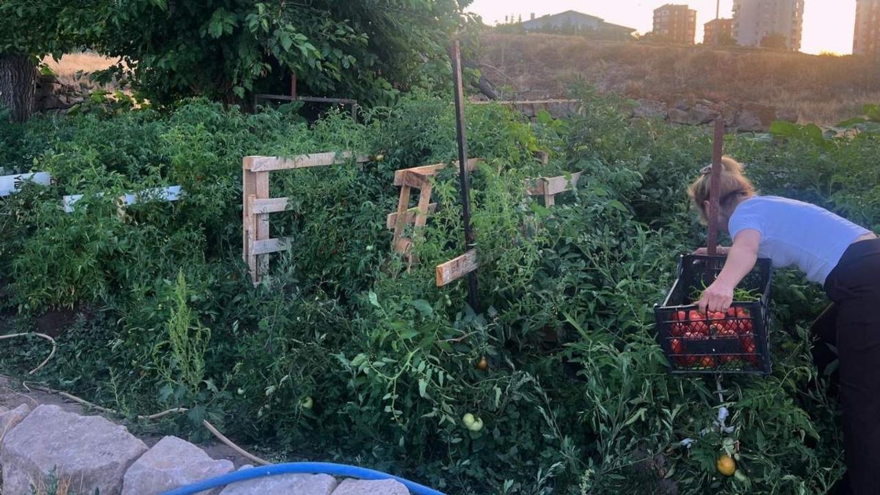 Kayseri’de böyle bahçe görülmedi!