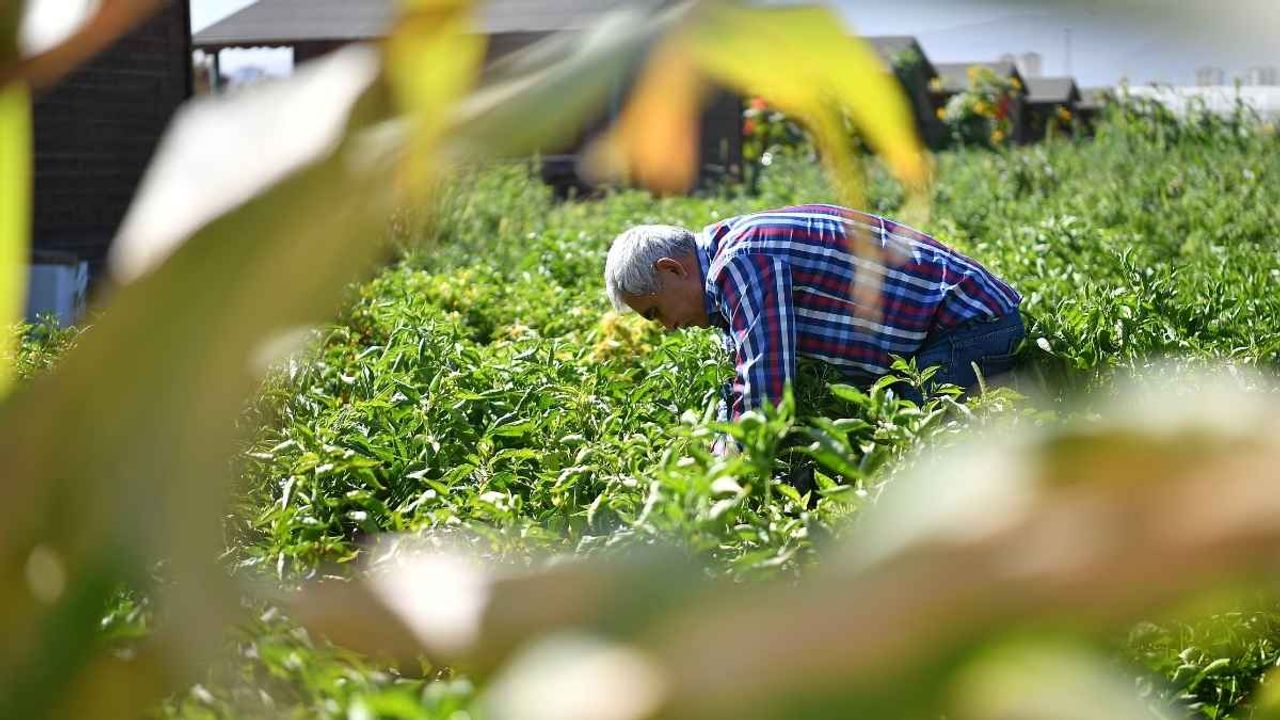 Kayseri'de bugün kurulan semt pazarları (13 Eylül)
