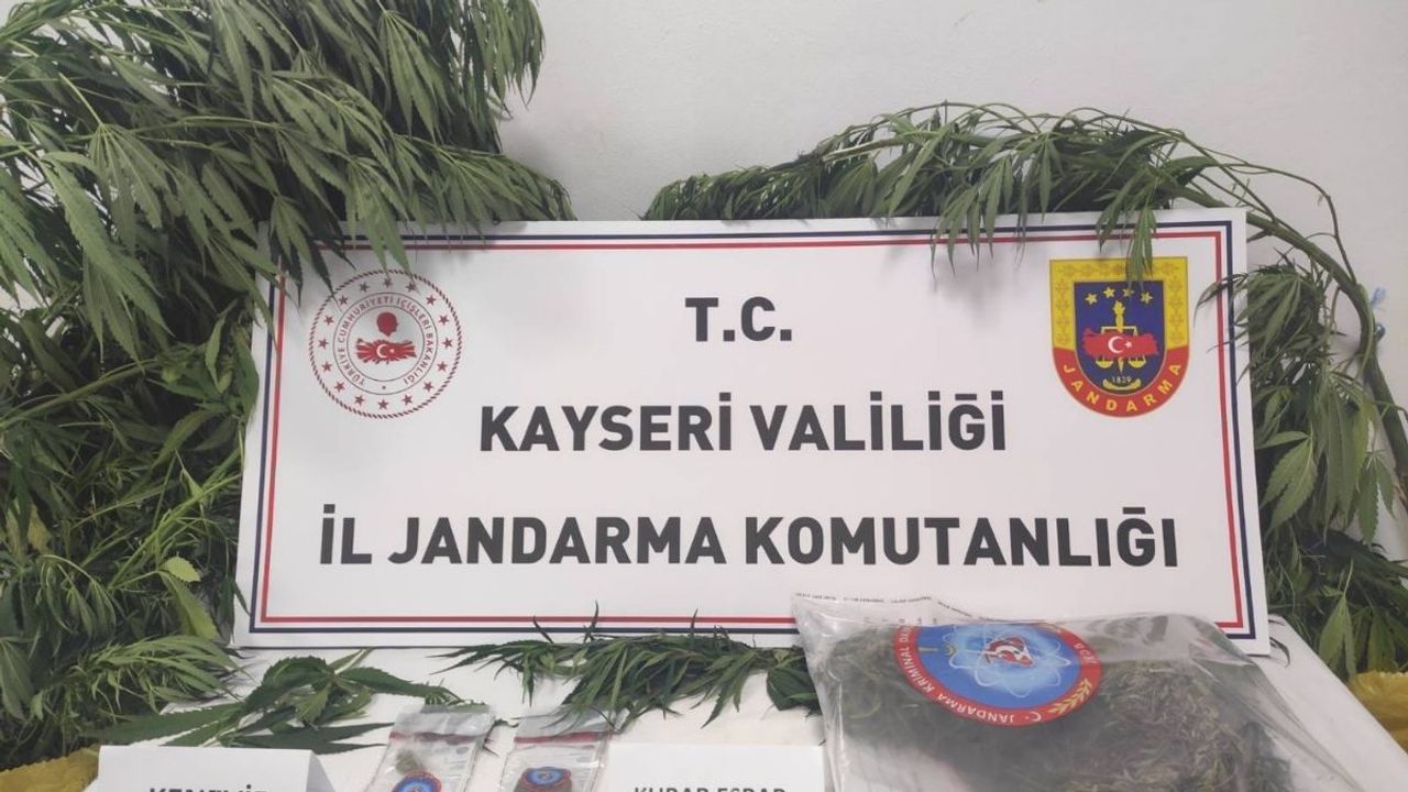 Kayseri’de evinde kenevir yetiştiren şüpheli yakalandı