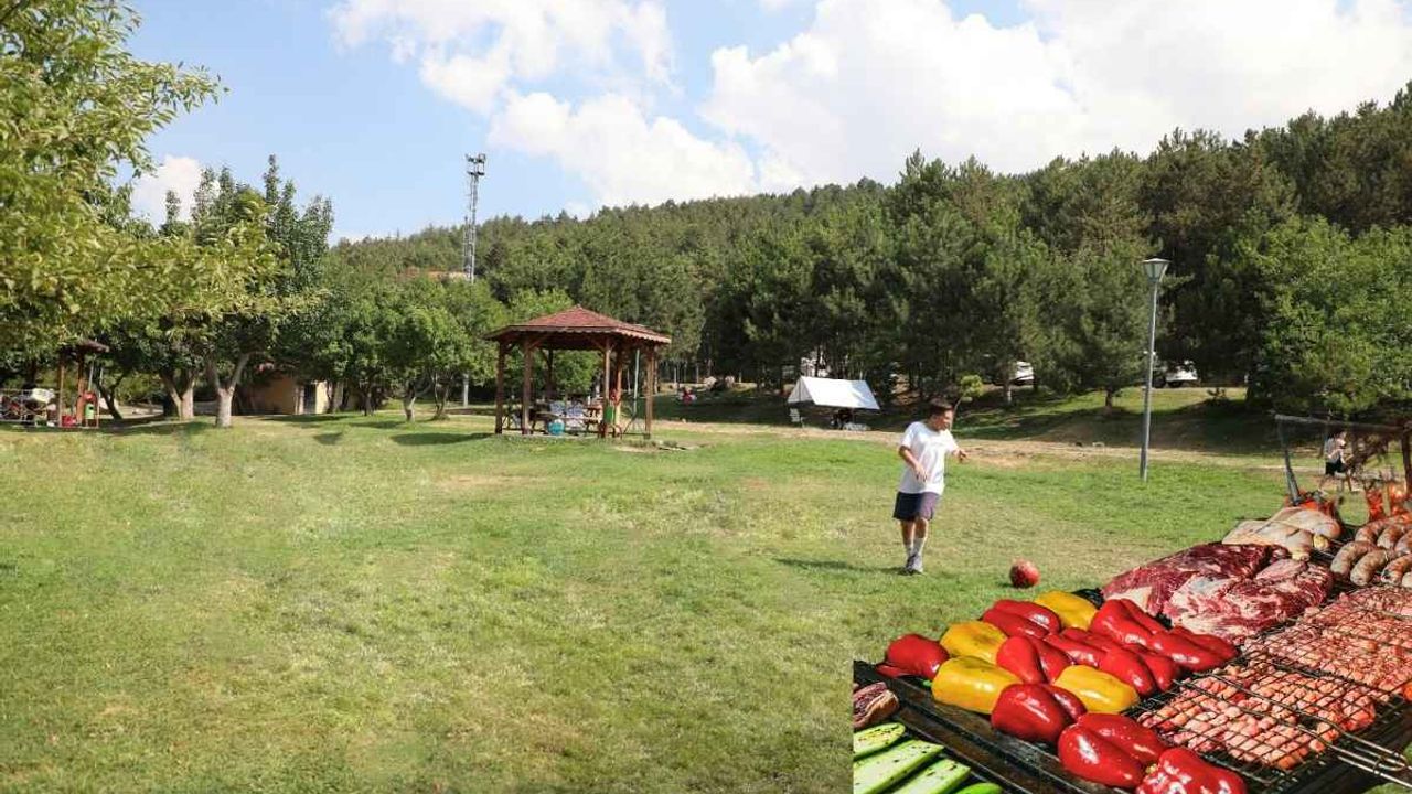 Kayseri’de yasak başladı! Artık o alanlarda mangal yakılmayacak