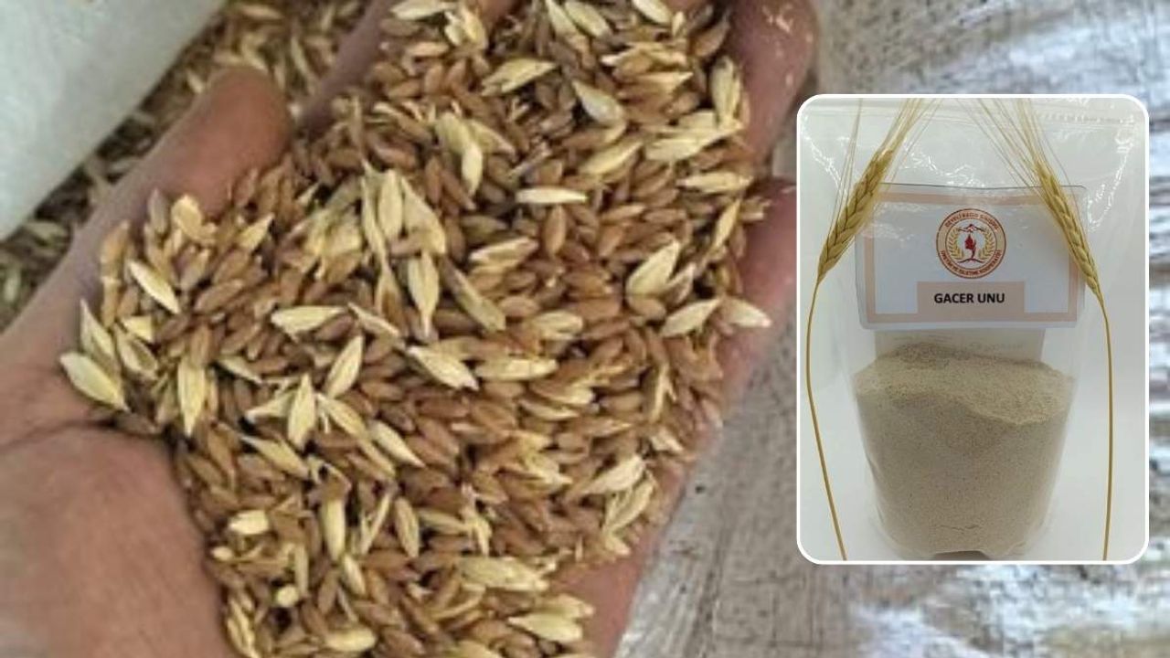 Kayseri’nin asırlık lezzeti yeniden sofralarda