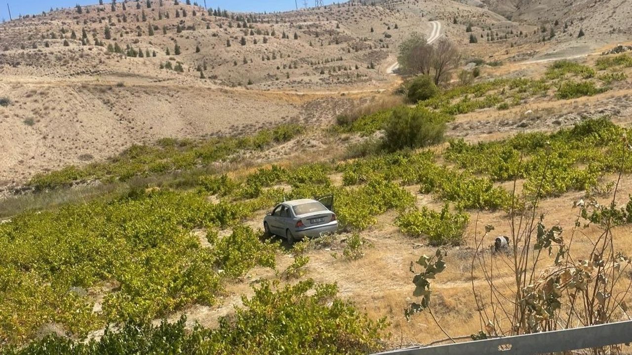 Kontrolden çıkan araç bağa daldı: 2 yaralı