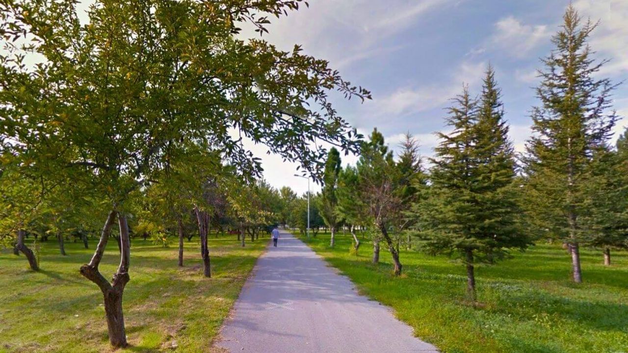 Erciyes Üniversitesi’nde şok gelişme: 60 yıllık orman yerine otopark yapılacak!