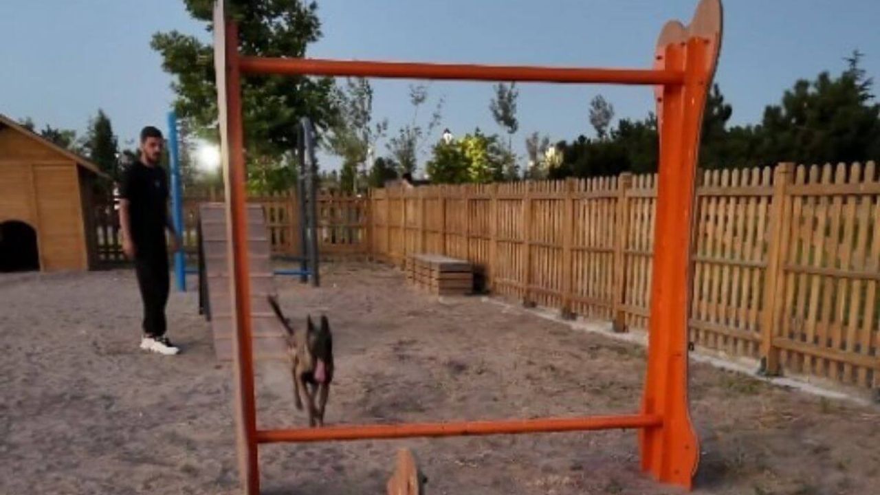 Kayseri’de köpeklere özel eğitim parkuru ilgi görüyor