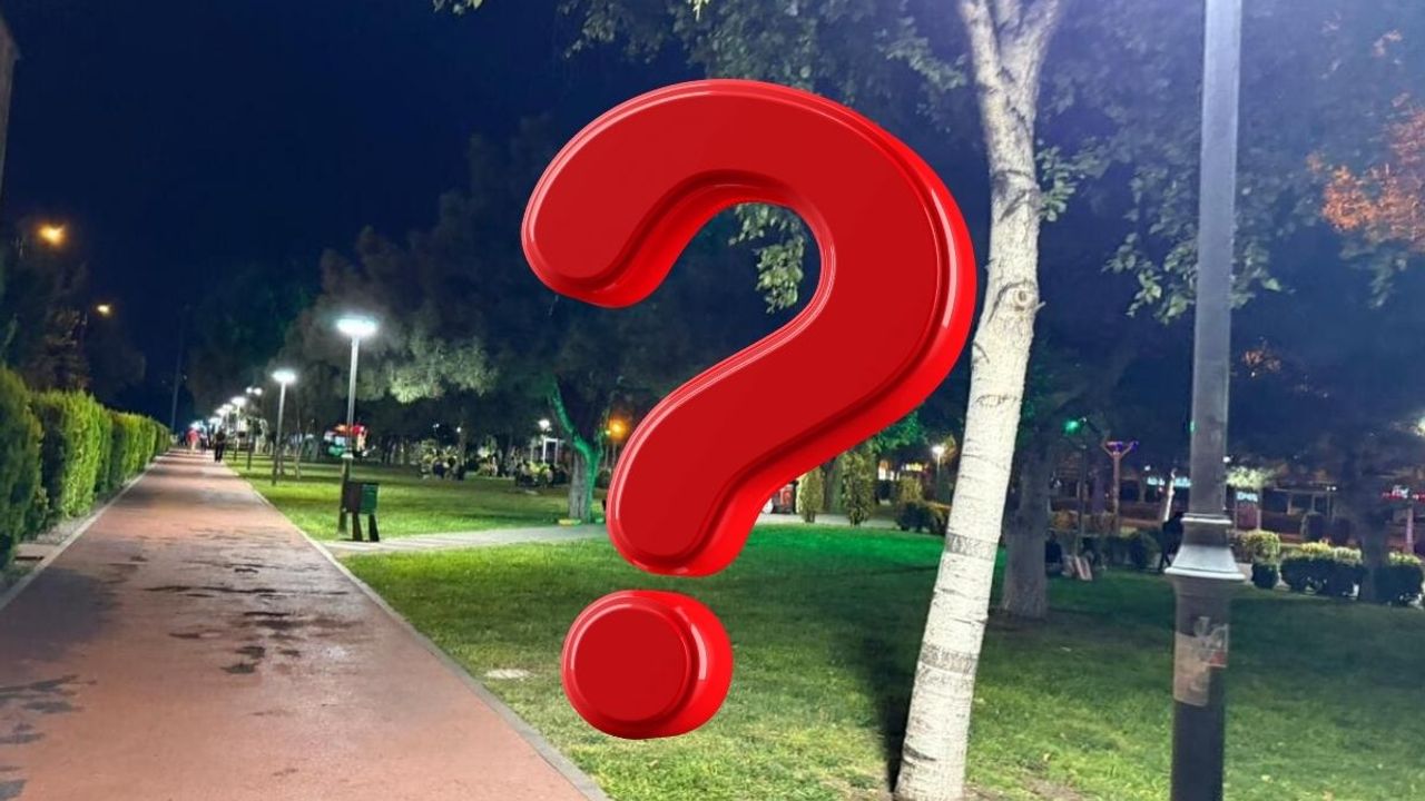 Alpaslan Parkı’ndaki o görüntüler üzdü