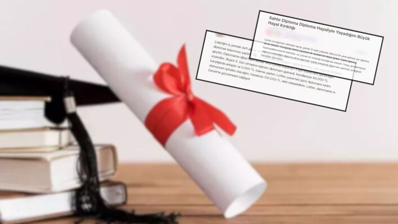 Sahte diploma ticareti hız kesmiyor! İşverenler risk altında