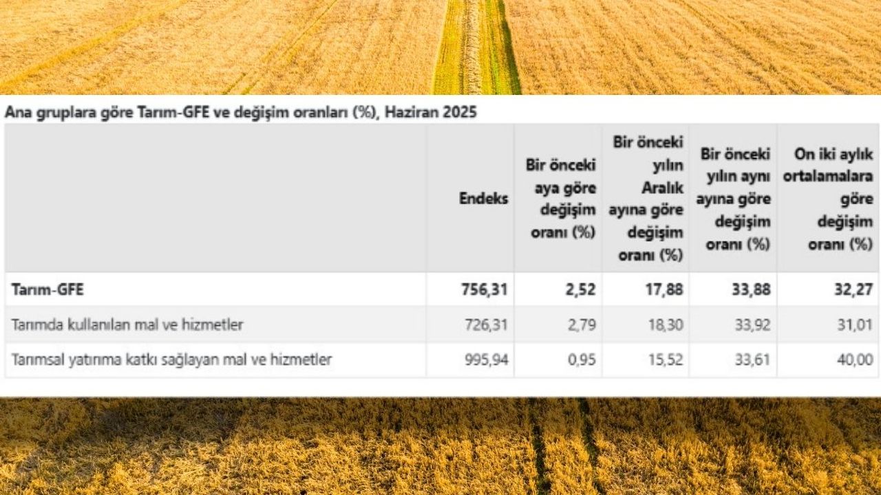 Tarımsal girdi fiyat endeksi Haziran’da yıllık %33,88 arttı!