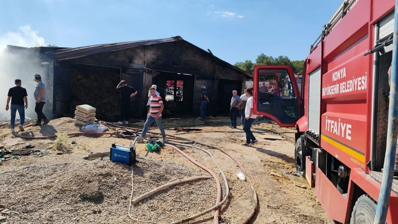 Yangın faciası! 6 büyükbaş telef olurken 10 ton saman kül oldu