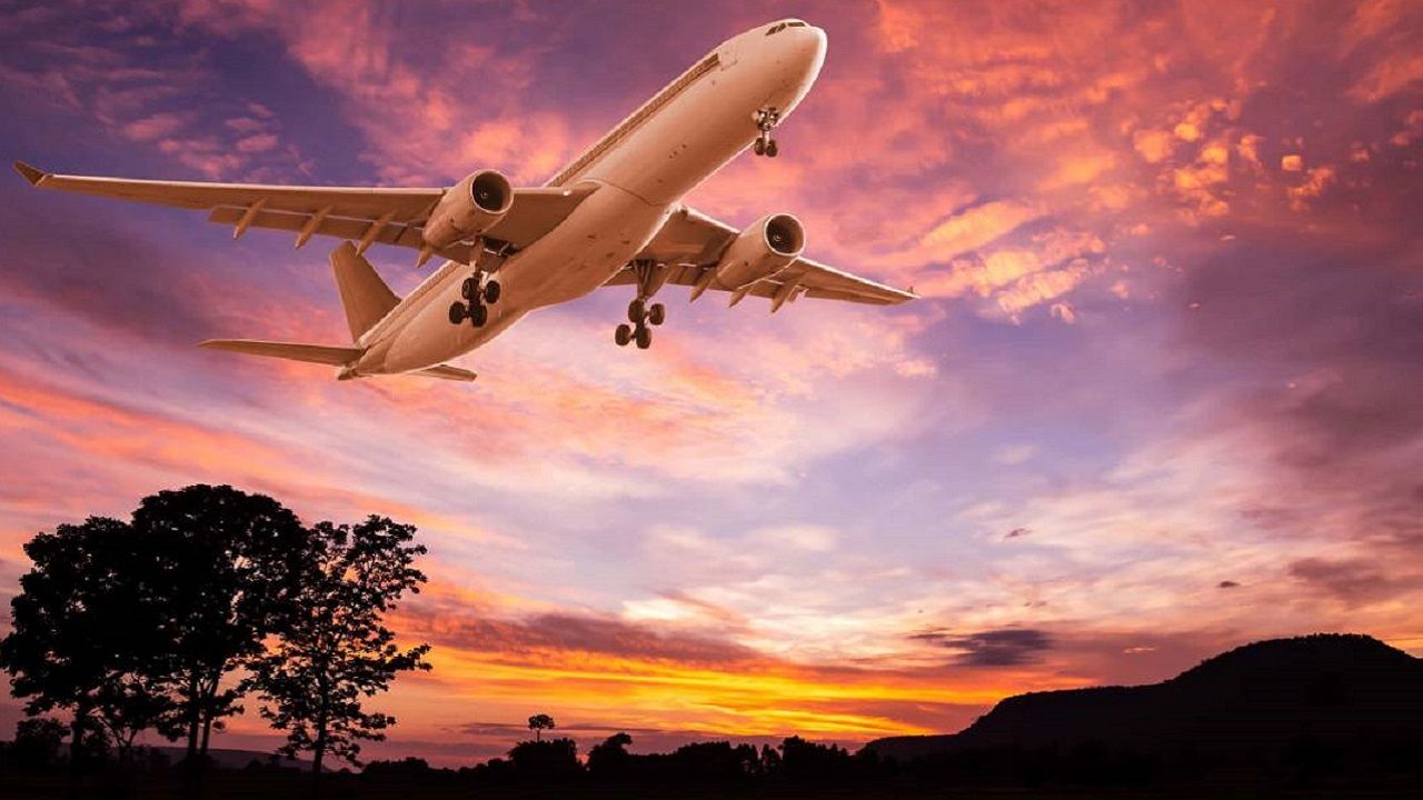 Türk Hava Yolları duyurdu: 1000'e yakın personel alınacak