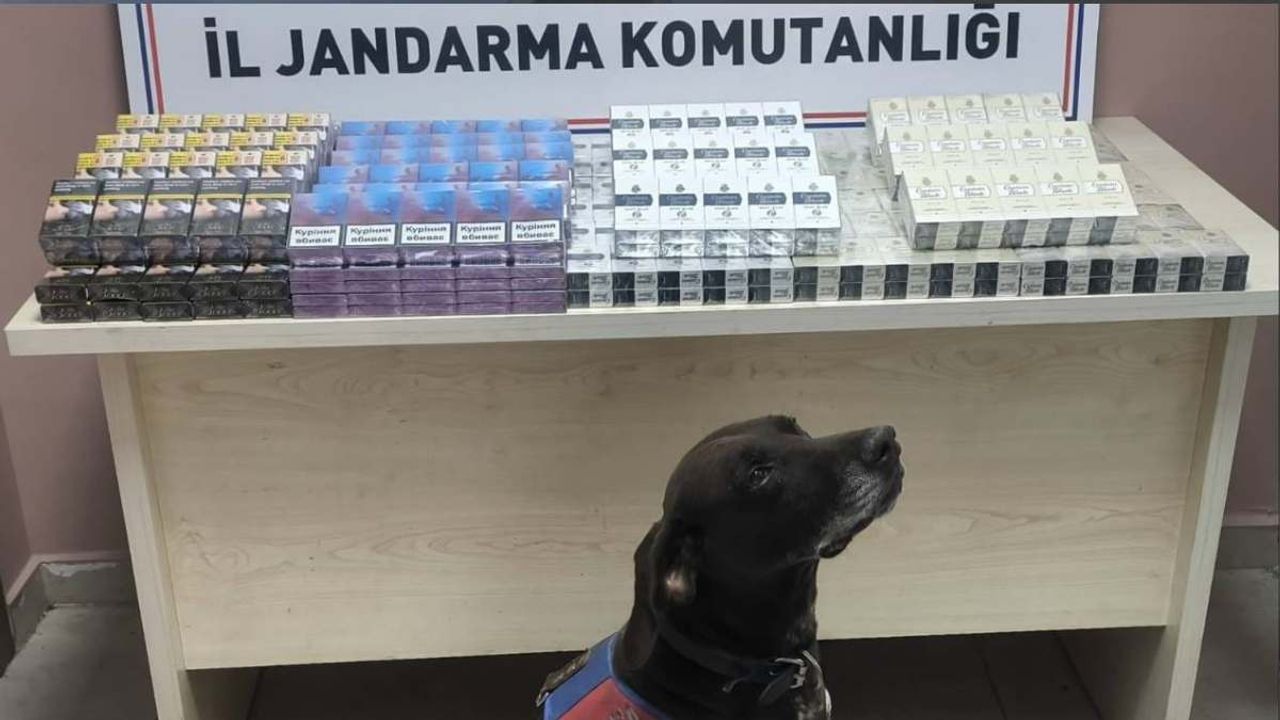 Kayseri’de jandarma ekiplerinden kaçak sigara operasyonu: 560 paket ele geçirildi!