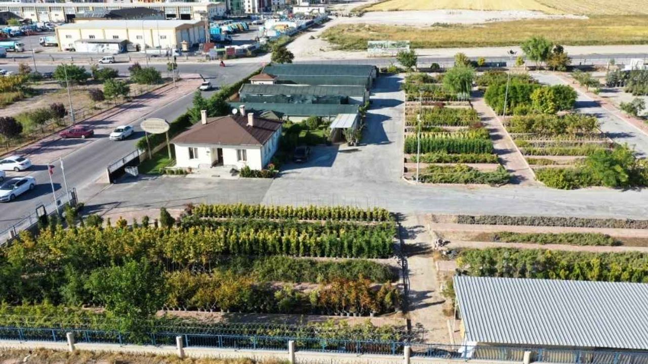 Kayseri’yi yeşerten proje başladı!