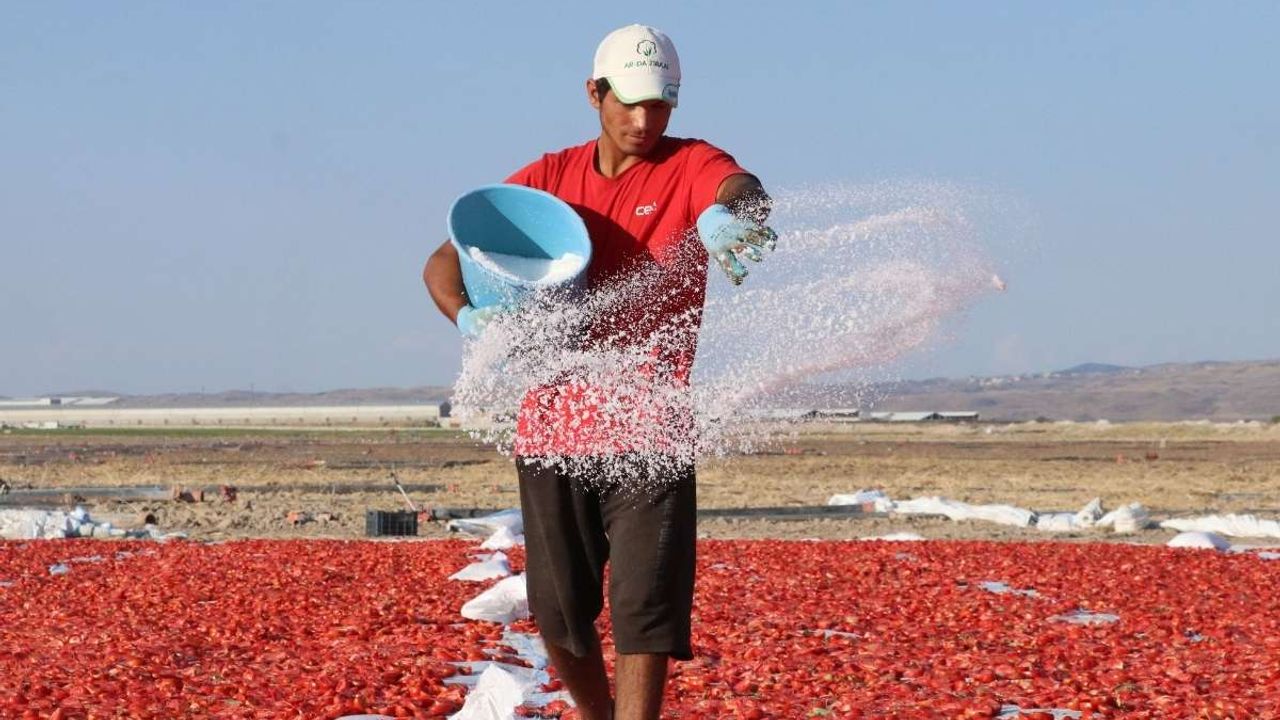 Erciyes etekleri kırmızıya büründü