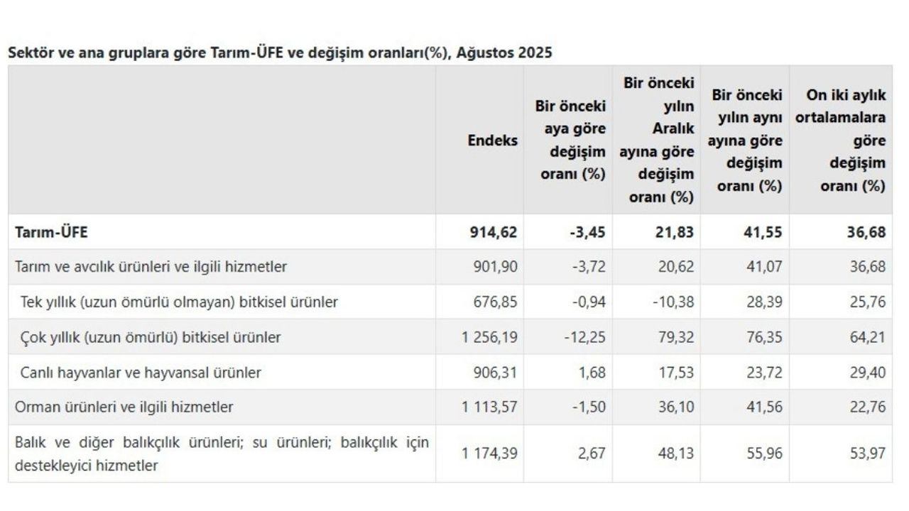 Tarım-ÜFE’de büyük sıçrama: Meyve fiyatlarında bakın ne kadar artış oldu?