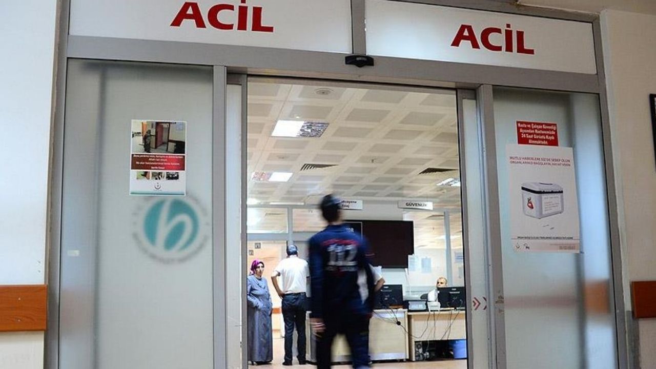 Kayseri’de köpek saldırısına uğrayan kadın hayatını kaybetti