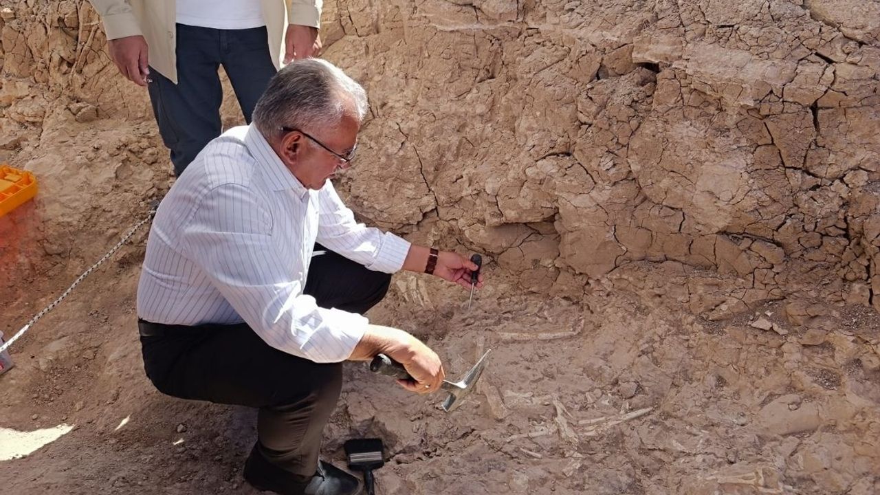 Kayseri’nin yer altı hazinesi: Yamula’da 7,7 milyon yıllık fosiller gün yüzüne çıkıyor!