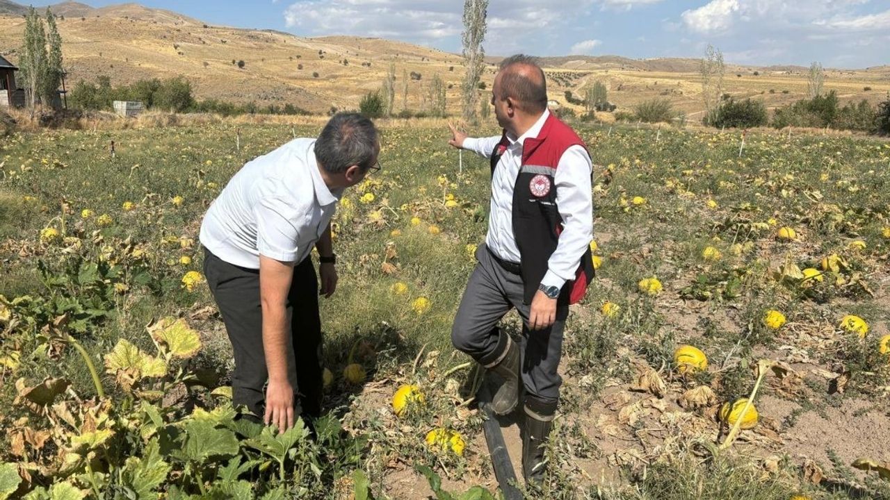 Kayseri bakın neyde Türkiye'nin 1 numarası oldu?