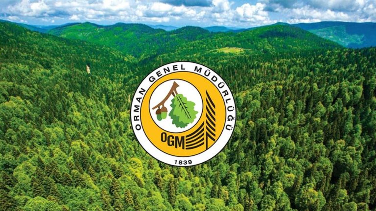 OGM 45 ilden 262 daimi işçi alımı yapacak!