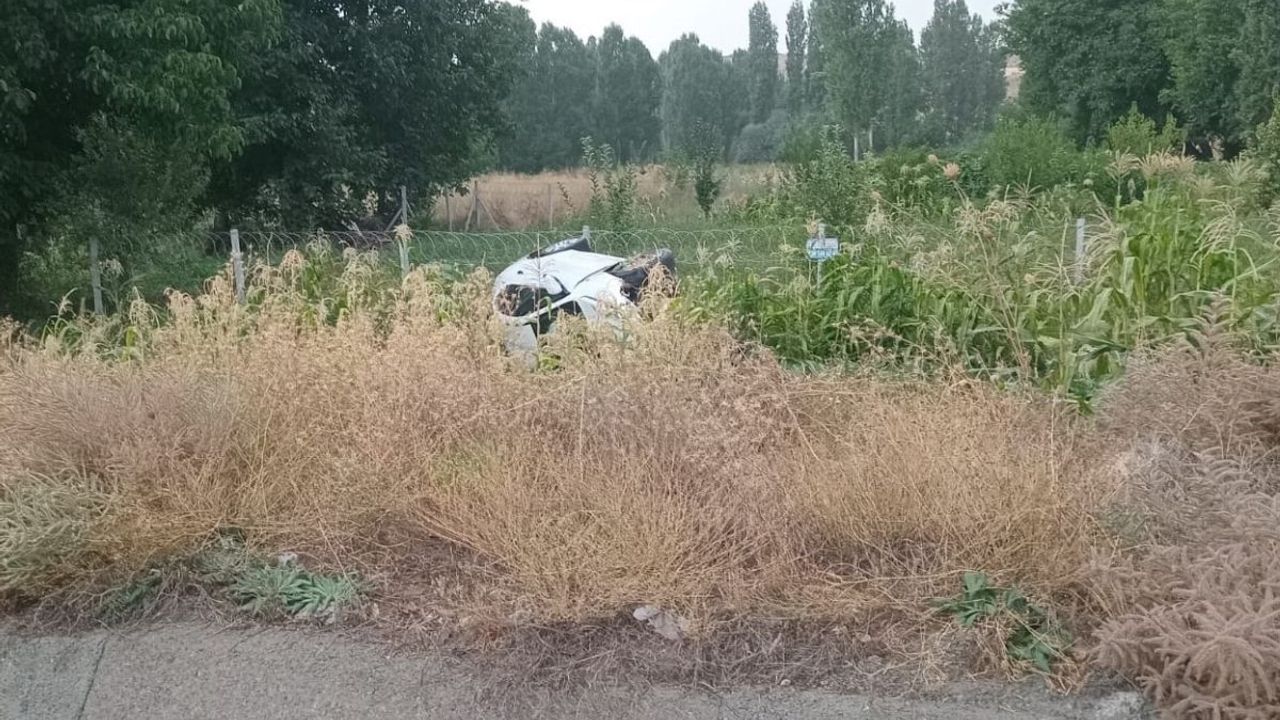 Otomobil mısır tarlasına devrildi: 2 yaralı