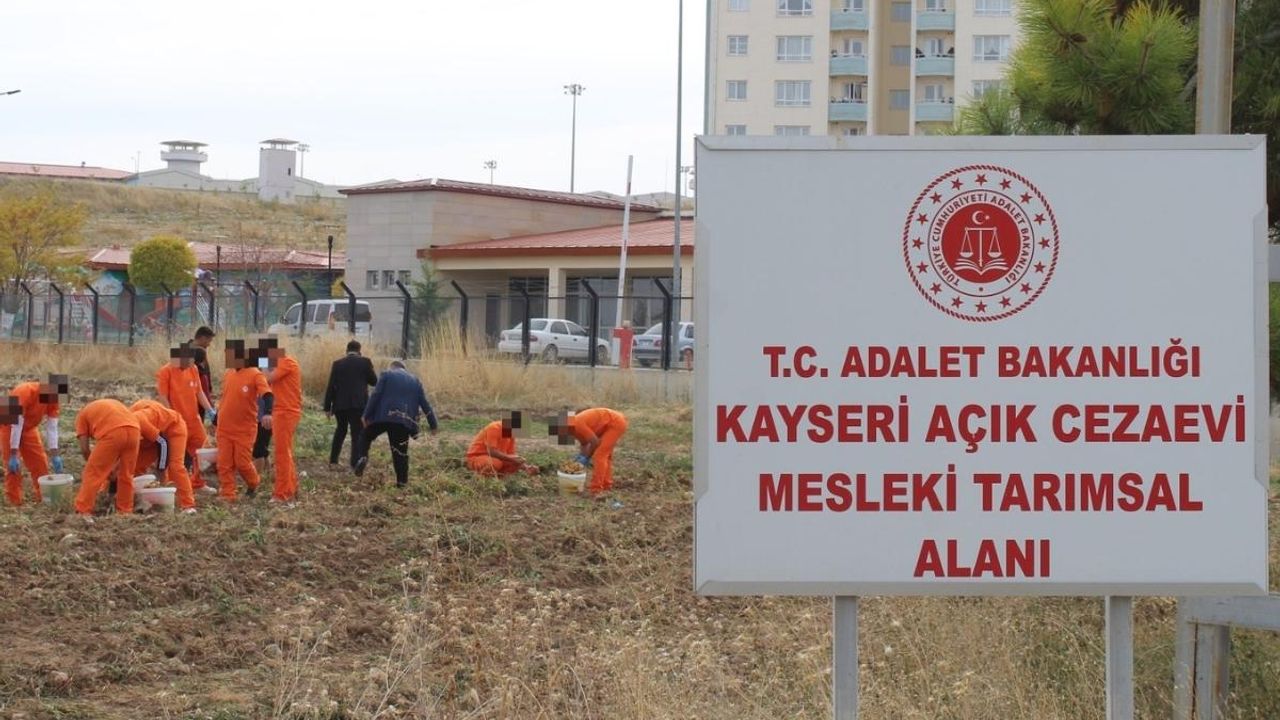 Kayseri Bünyan Açık Cezaevi'nde hükümlüler çalışıp üretime katkı sağlıyor