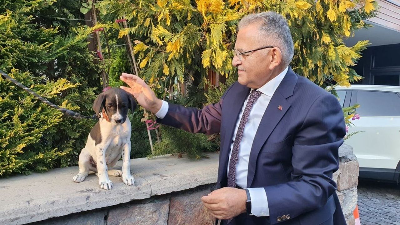 Büyükkılıç: ‘Hayvanların da yaşama hakkı ilk sırada geliyor’