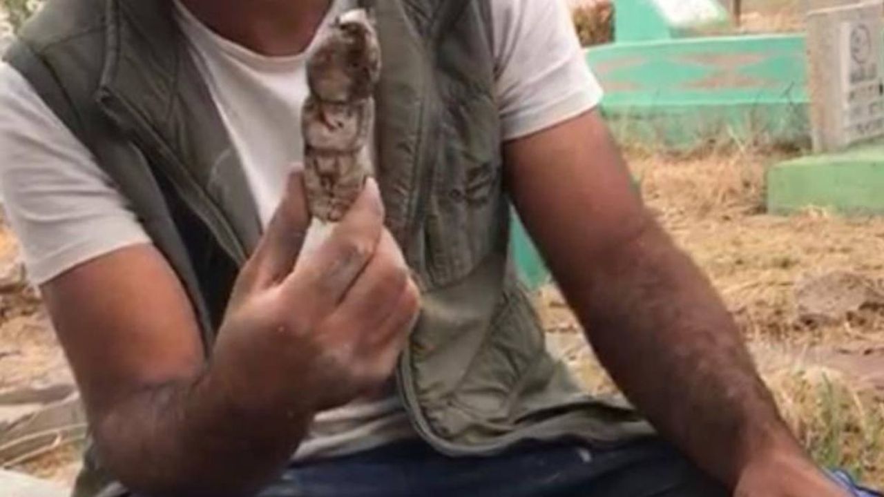 Mezar kazısında kefene sarılmış oyuncak bebek bulundu!