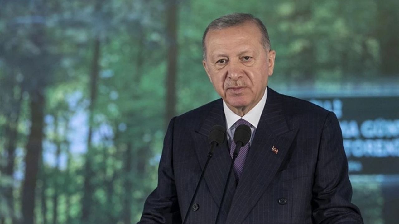 Cumhurbaşkanı: Yeşil Vatan Seferberliği başlatıyoruz!