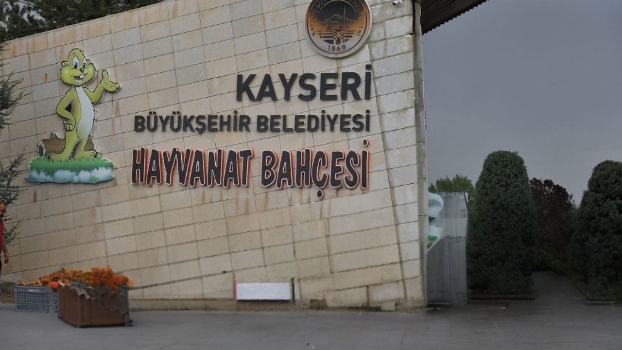 Kayseri'de 29 Ekim’de Hayvanat Bahçesi ücretsiz olacak!