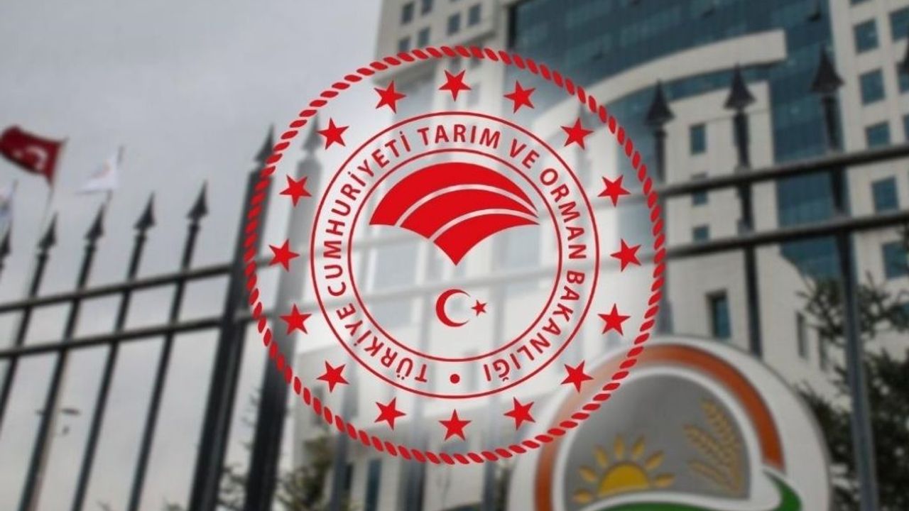 Tarım ve Orman Bakanlığı duyurdu: Müfettiş yardımcısı alınacak!